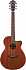 Электроакустическая гитара IBANEZ AEG220-LGS – фото 1