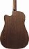 Электроакустическая гитара IBANEZ AW247CE-OPN – фото 10