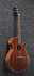 Электроакустическая гитара IBANEZ AEG220-LGS – фото 2