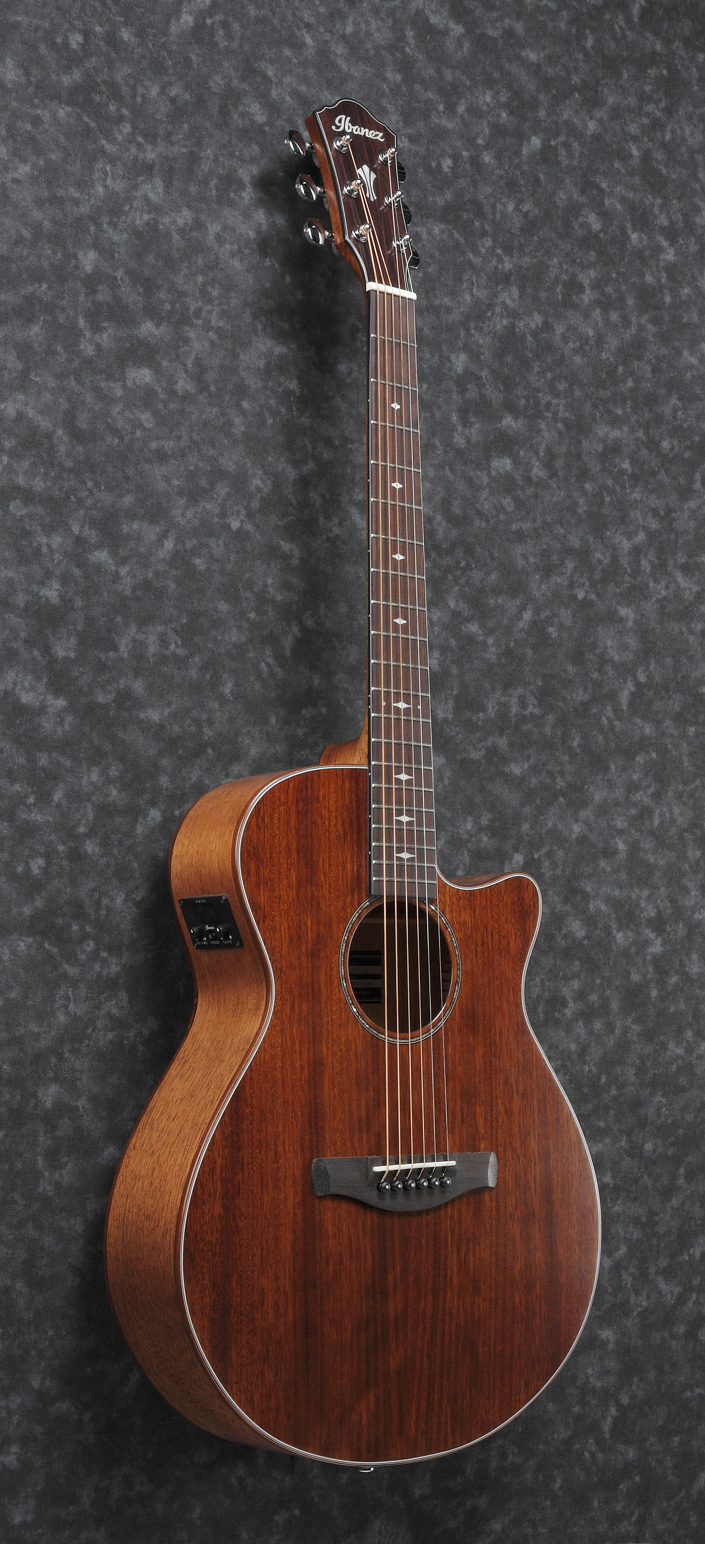 Электроакустическая гитара IBANEZ AEG220-LGS – фото 2