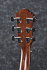 Электроакустическая гитара IBANEZ AEG220-LGS – фото 4