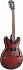 Полуакустическая гитара IBANEZ AS53-SRF – фото 3